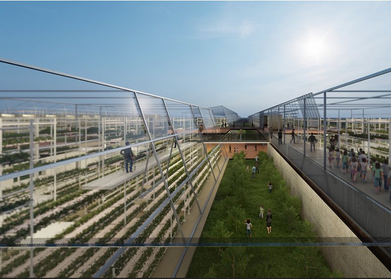 Tilted glass facade of greenhouse enclosing terraced growing beds with people moving through the sunny interior