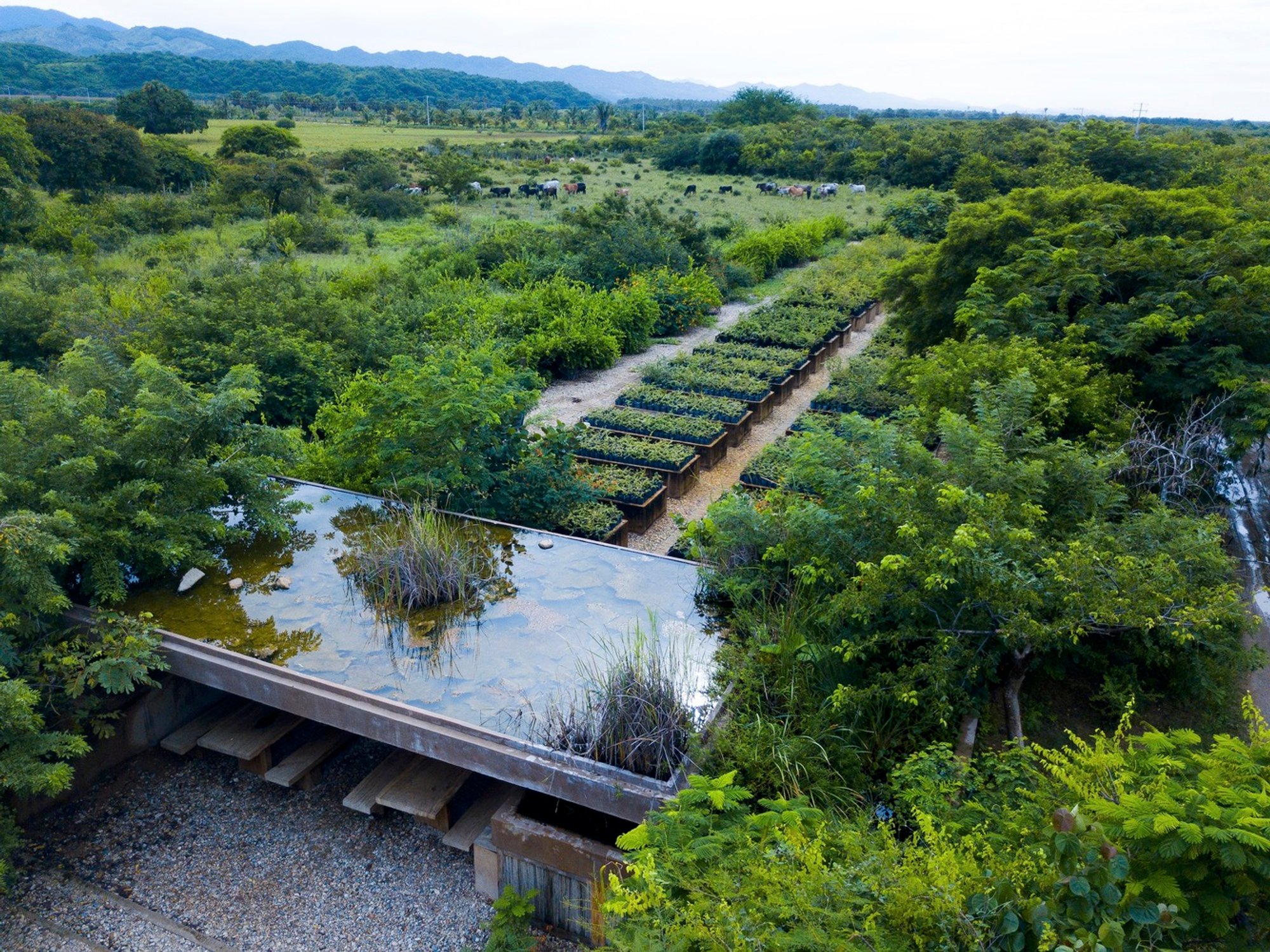 Guayacán Pavilion by Ambrosi I Etchegaray
