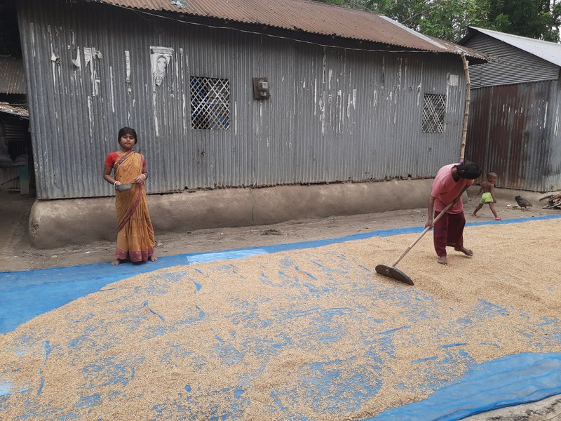 Existing Hodi settlement beside the site