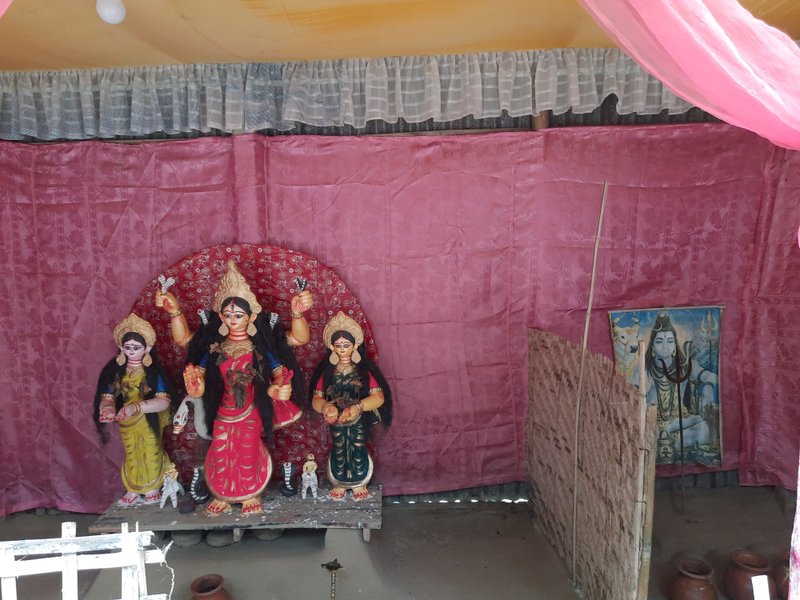 Manasa/ Padma Puja