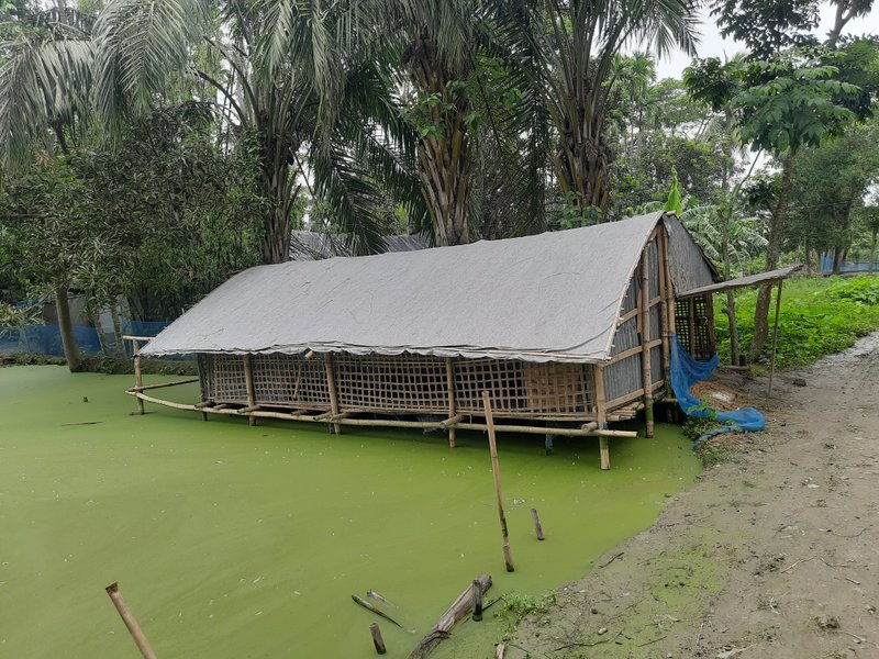 Fishery and Poultry Farm