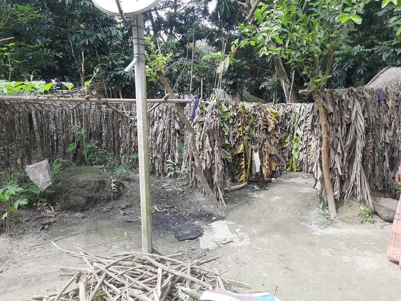 Use of Banana Leaves