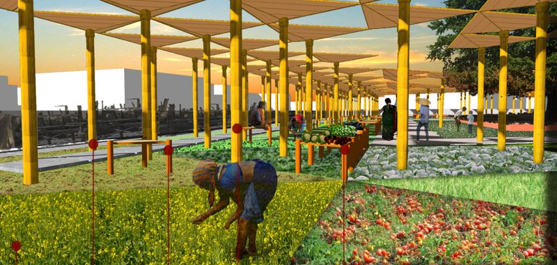 Community farming and vendor stalls under bamboo chhatris.