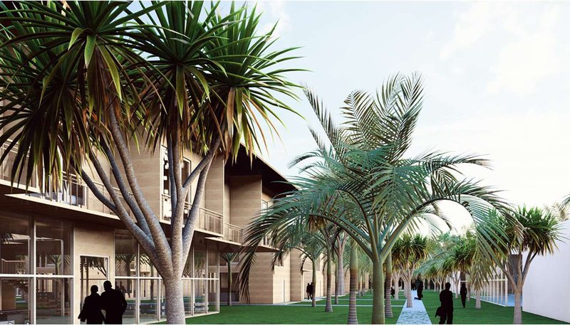 A palm-lined walkway integrates the built environment with nature, offering a serene transition between spaces.