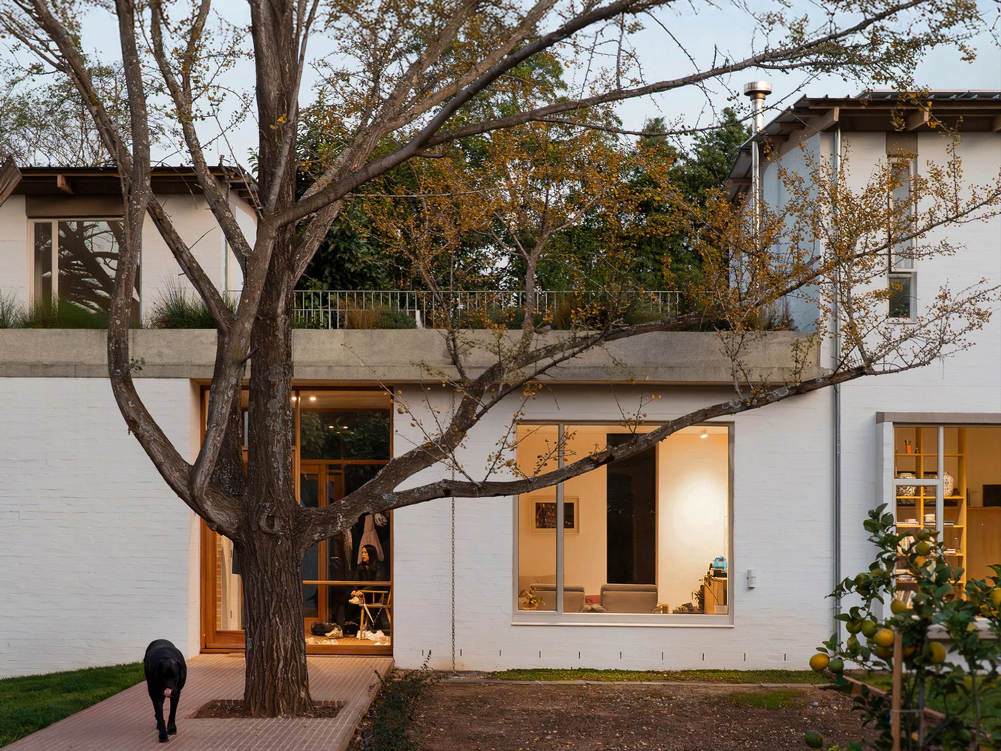 Two Sides House by MiMo Architects: A Multi-Generational Family Home in Sandton, South Africa