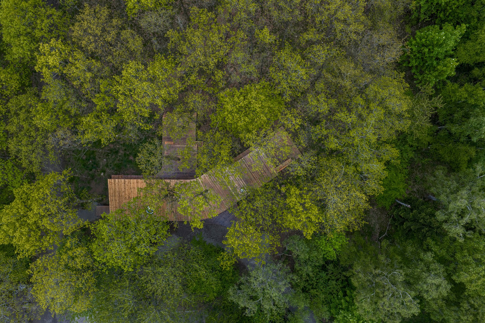 Trailcenter Rytterknægten by Matters Architects – A Forest Pavilion for All