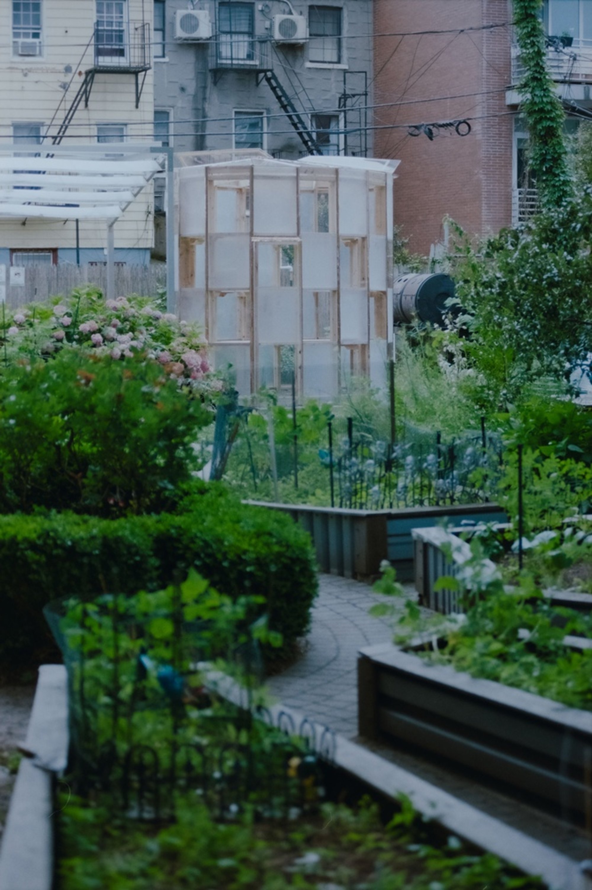 Ellipse Greenhouse by SAW.EARTH – Innovative Community Garden Architecture in Brooklyn