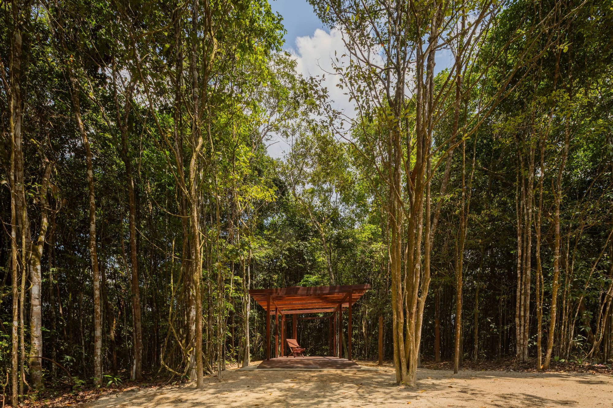Village Trails by NEBR Arquitetura: A Bridge Between Humanity and the Forest
