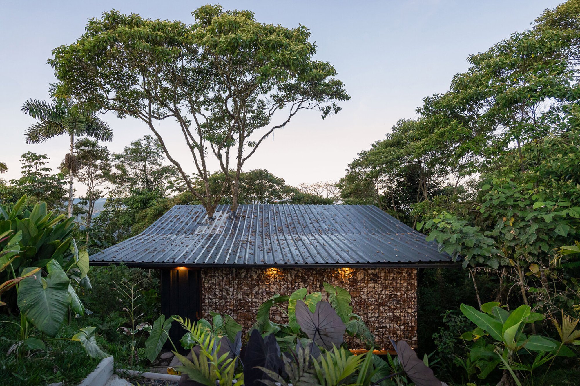 A Lodge in Pigüe: Sustainable Architecture in the Heart of the Ecuadorian Amazon