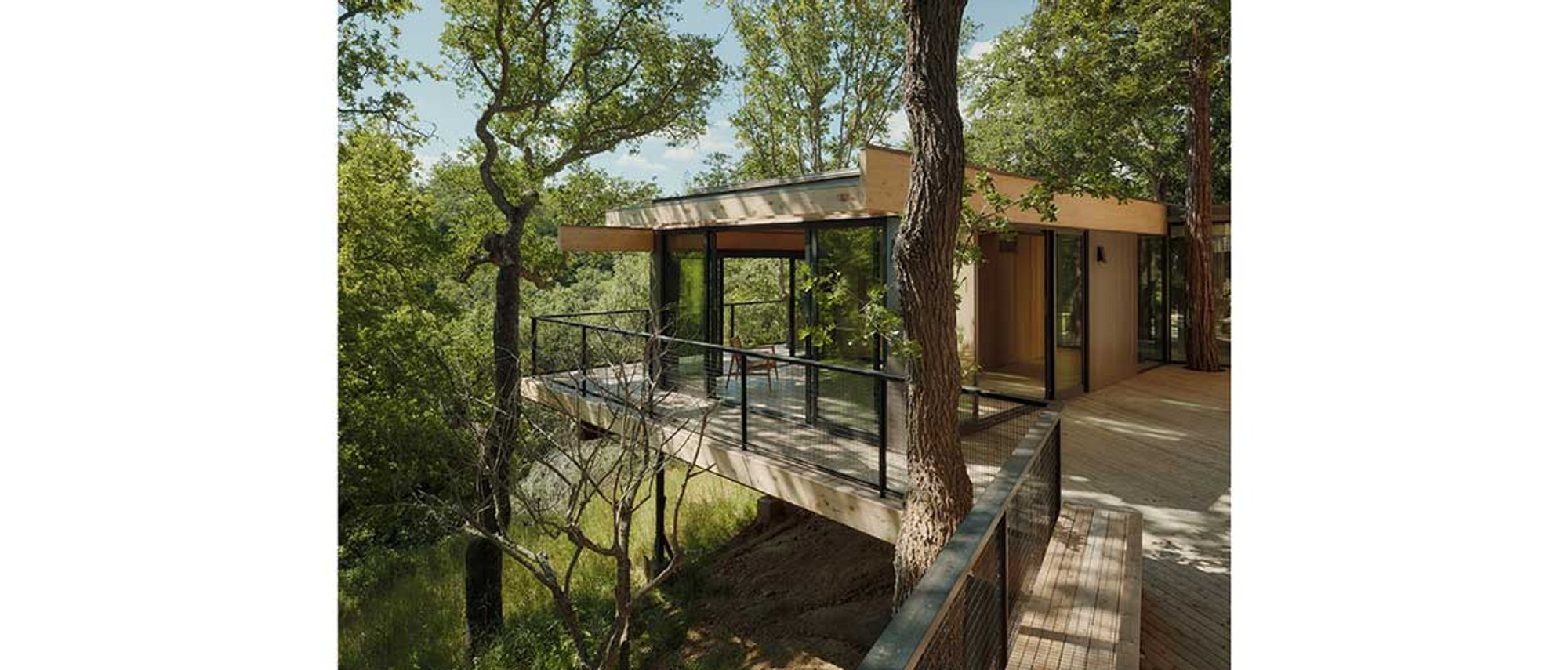Pavilion in the Oaks by Mork-Ulnes Architects: A Floating Sanctuary Among the Trees
