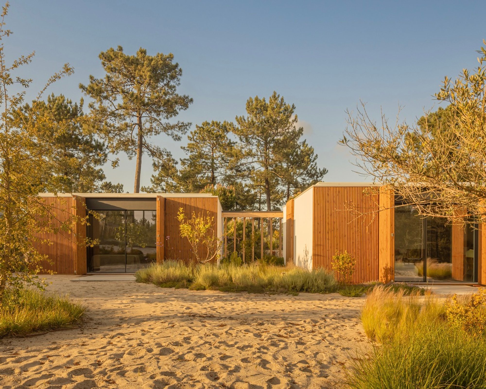 CR House by Jacobsen Arquitetura: A Serene Summer Retreat in the Pine Forests of Comporta, Portugal
