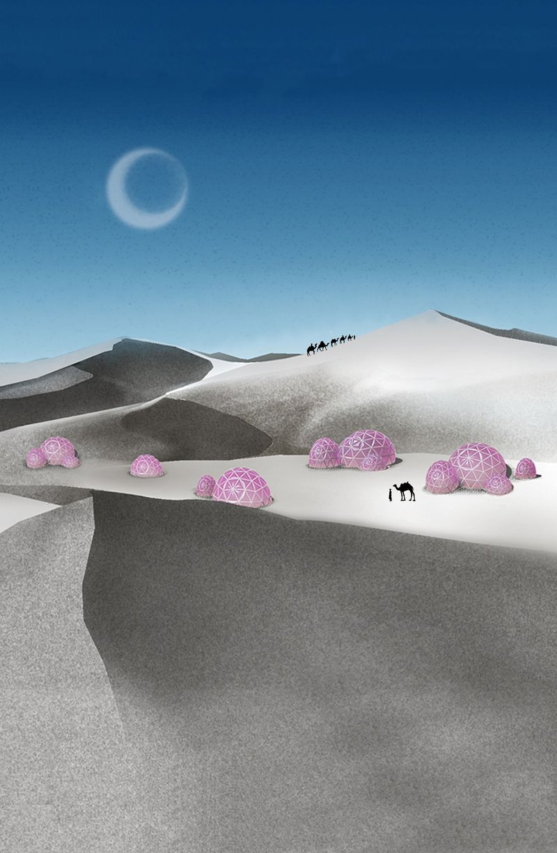 Network of adaptive domes forming a resilient desert community.