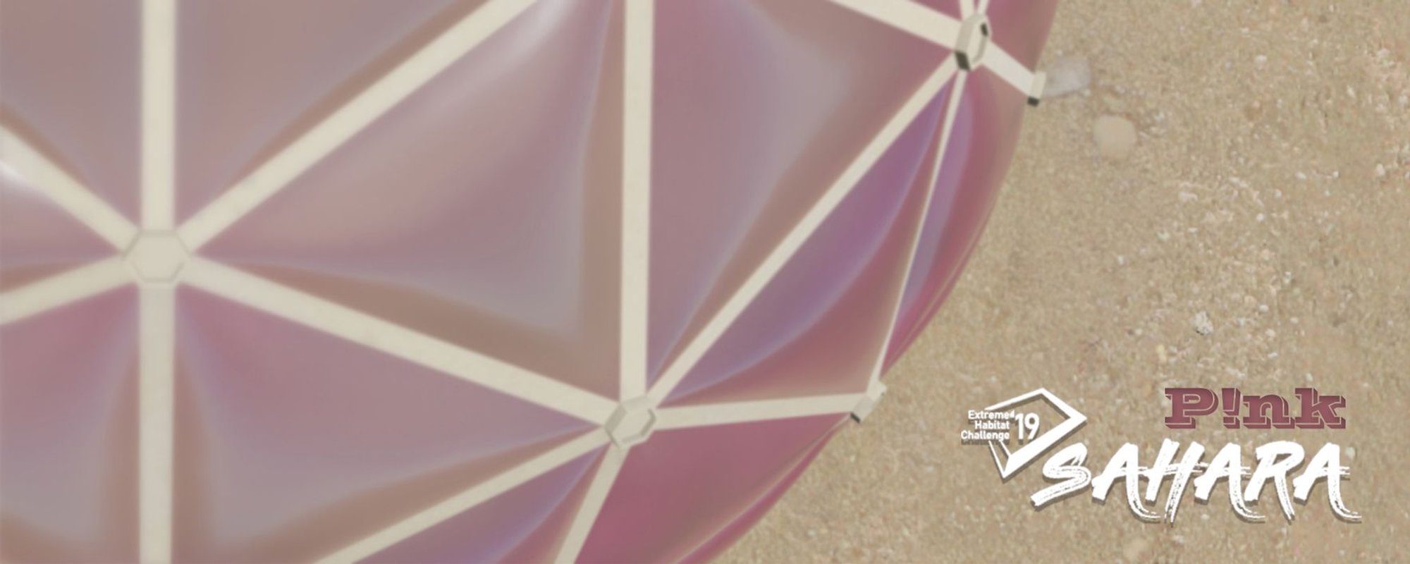 Pink Sahara: A New Vision for Sustainable Desert Architecture
