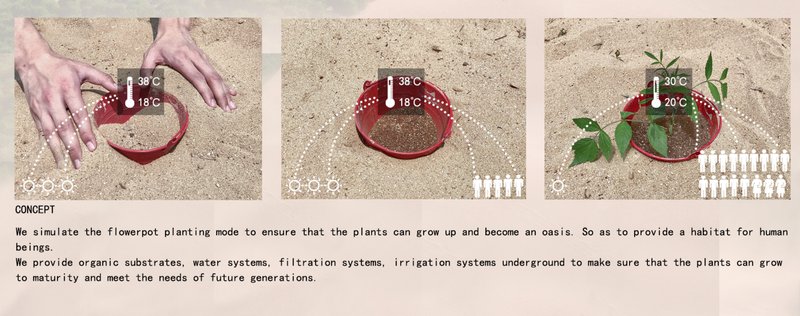 Three-panel diagram showing hands planting in containers on sand with temperature indicators and growing vegetation