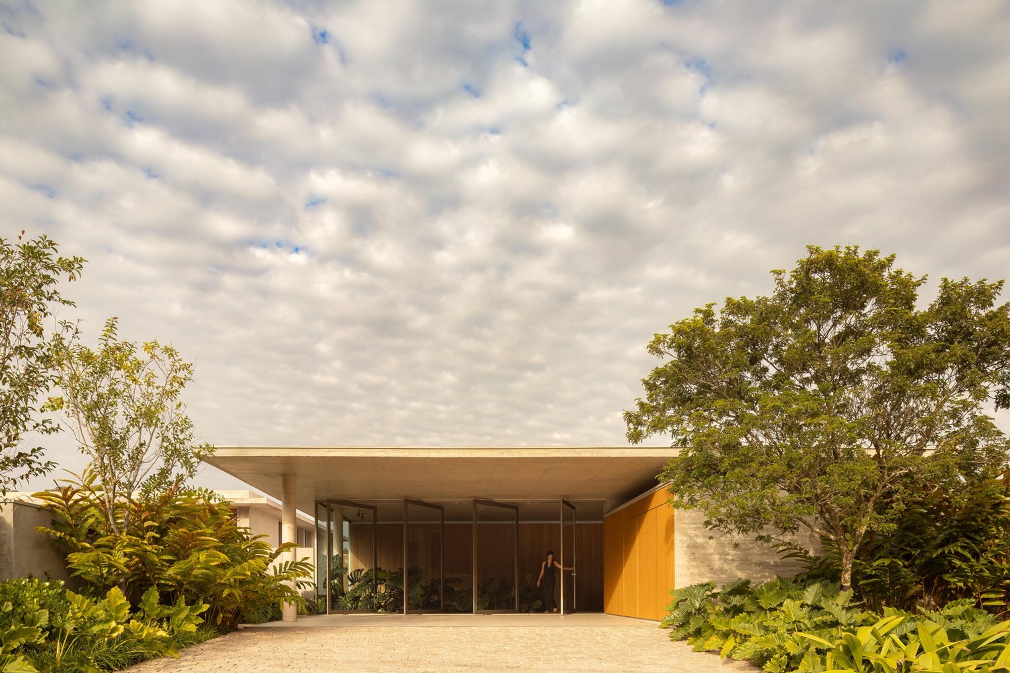 Cedar House by Fernanda Padula Arquitetura & Juliana Risso Arquitetura: A Harmonious Dialogue with Nature