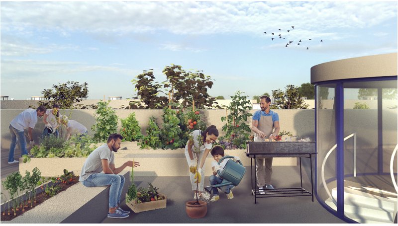A communal rooftop garden where residents grow food, cook together, and build a collaborative, sustainable lifestyle.