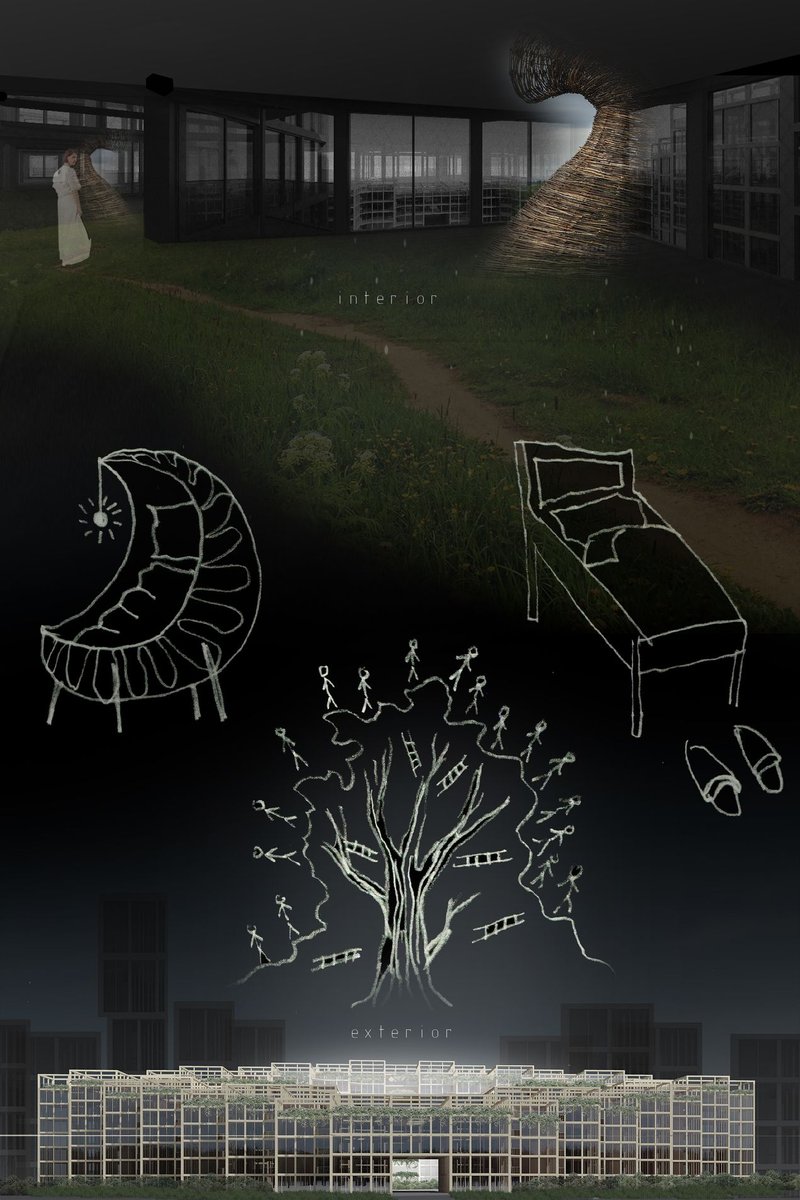 An immersive interior landscape where natural paths, soft lighting, and symbolic sketches merge into a shared living atmosphere.