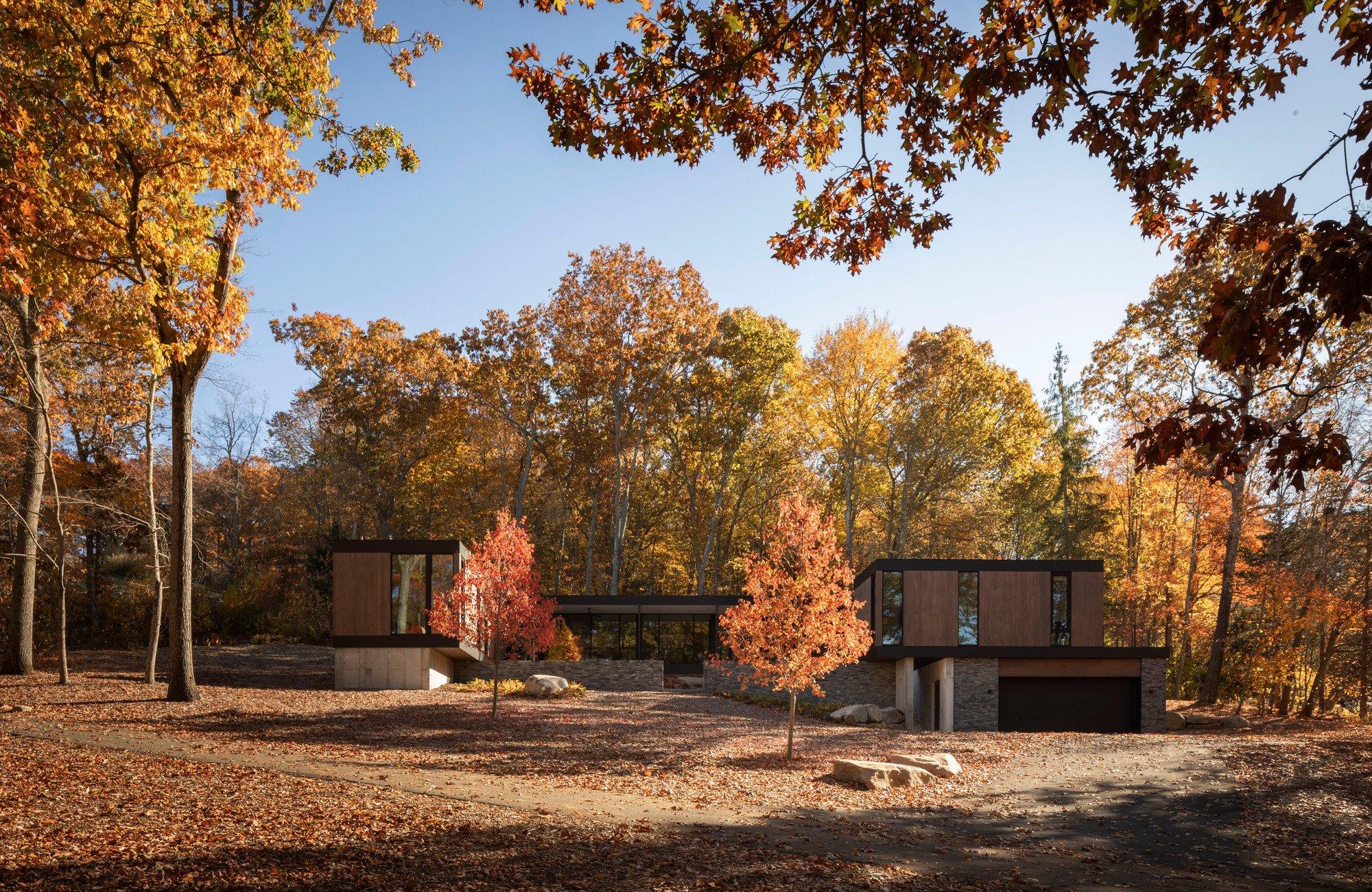 House in the Woods by Tom Lontine Architect