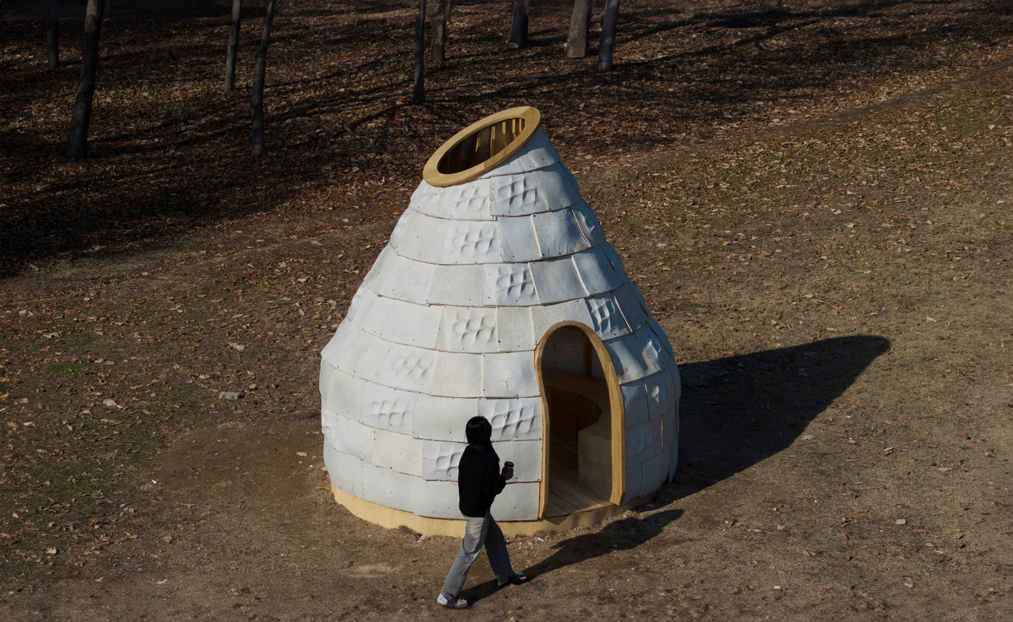 Mycelial Hut: Pioneering Sustainable Architecture with Fungal Materials