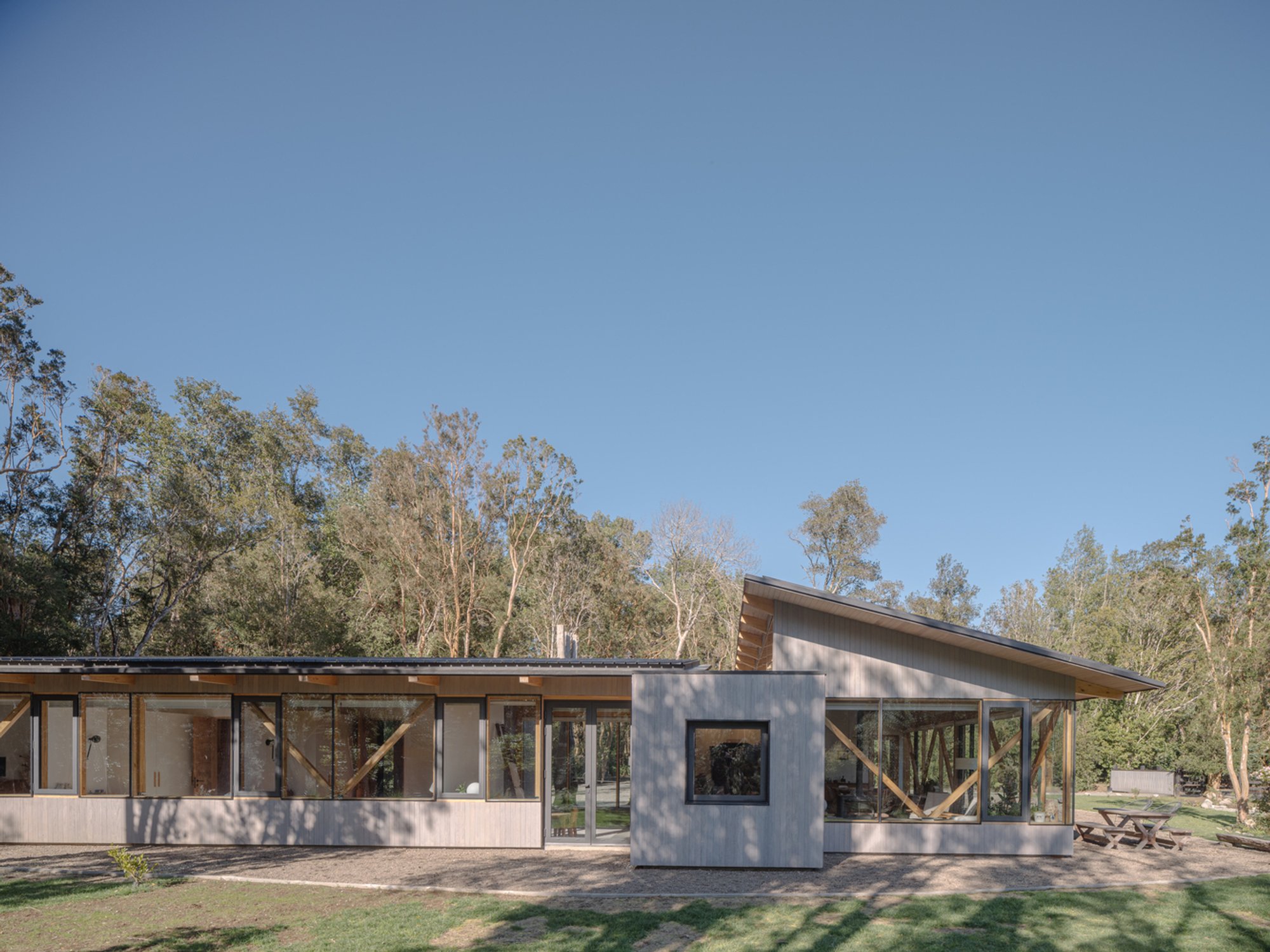 The Arboreto House by Camila Pineda Arquitectura — A Forest-Immersed Home Rooted in Chilean Tradition