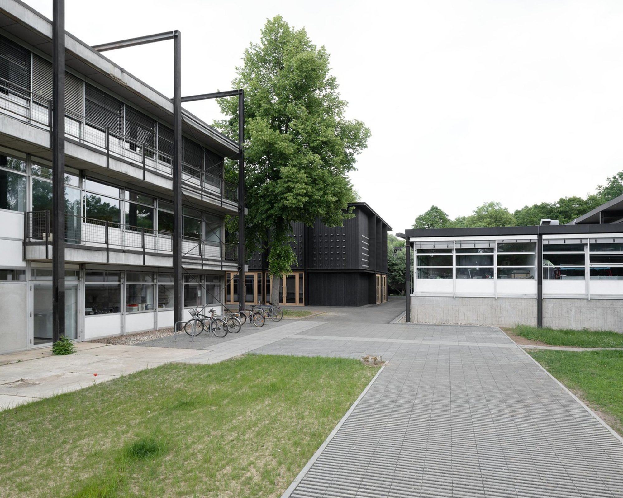Exhibition Hall Kassel: A Contemporary Wooden Pavilion by Innauer-Matt Architekten