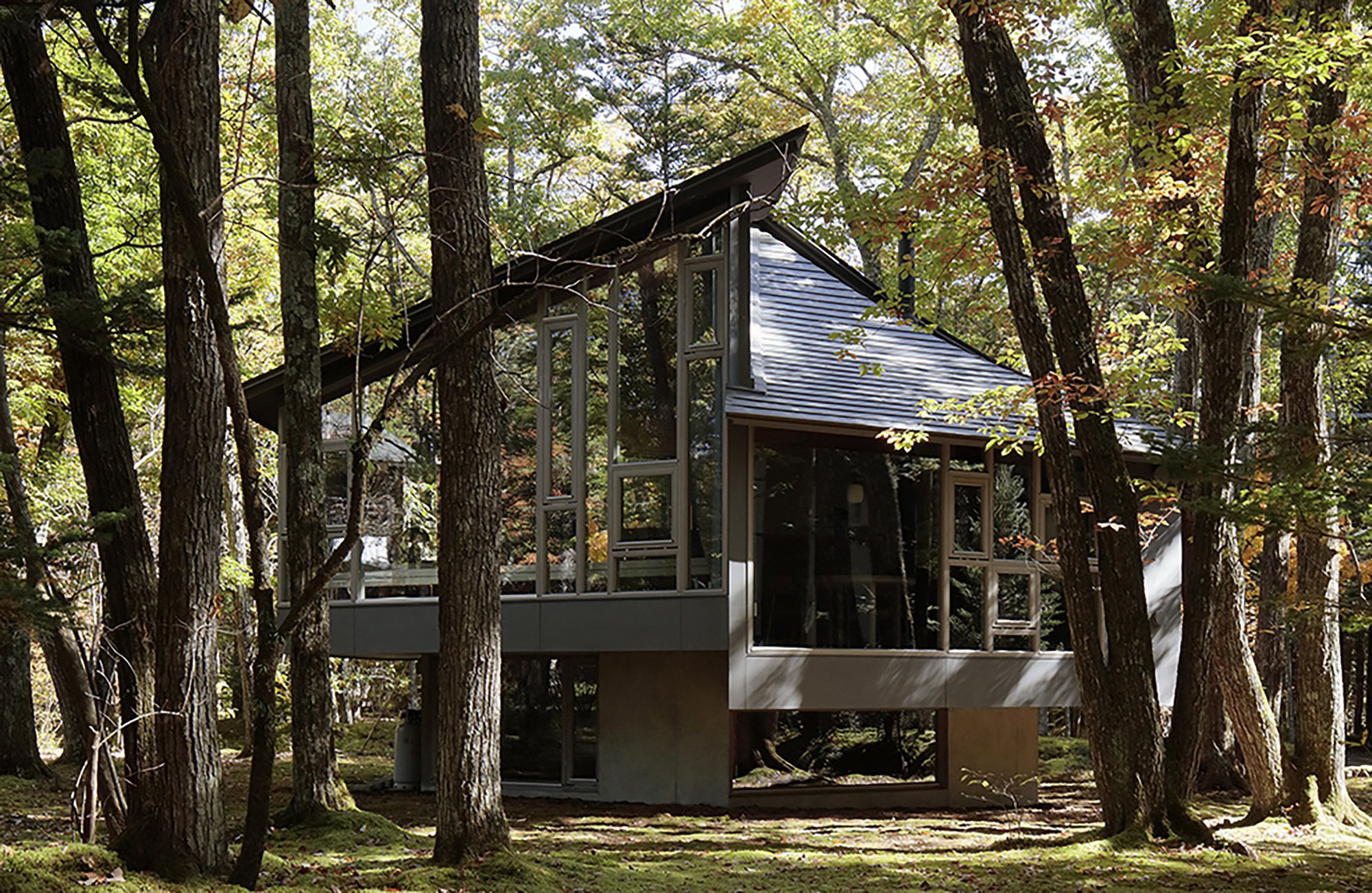 Kokeniwa House by Cell Space Architects: A Harmonious Fusion of Architecture, Moss Gardens, and Forest Landscapes in Karuizawa