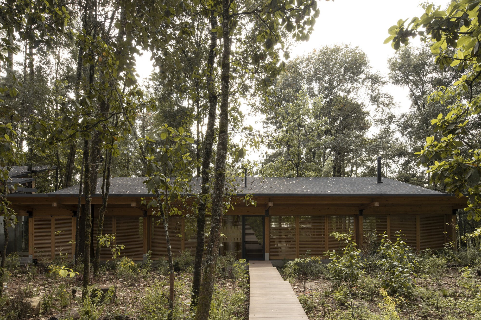 House in the Forest by Vasconcelos Arquitectura + Espacio Tangible – A Harmonious Family Retreat in Nature
