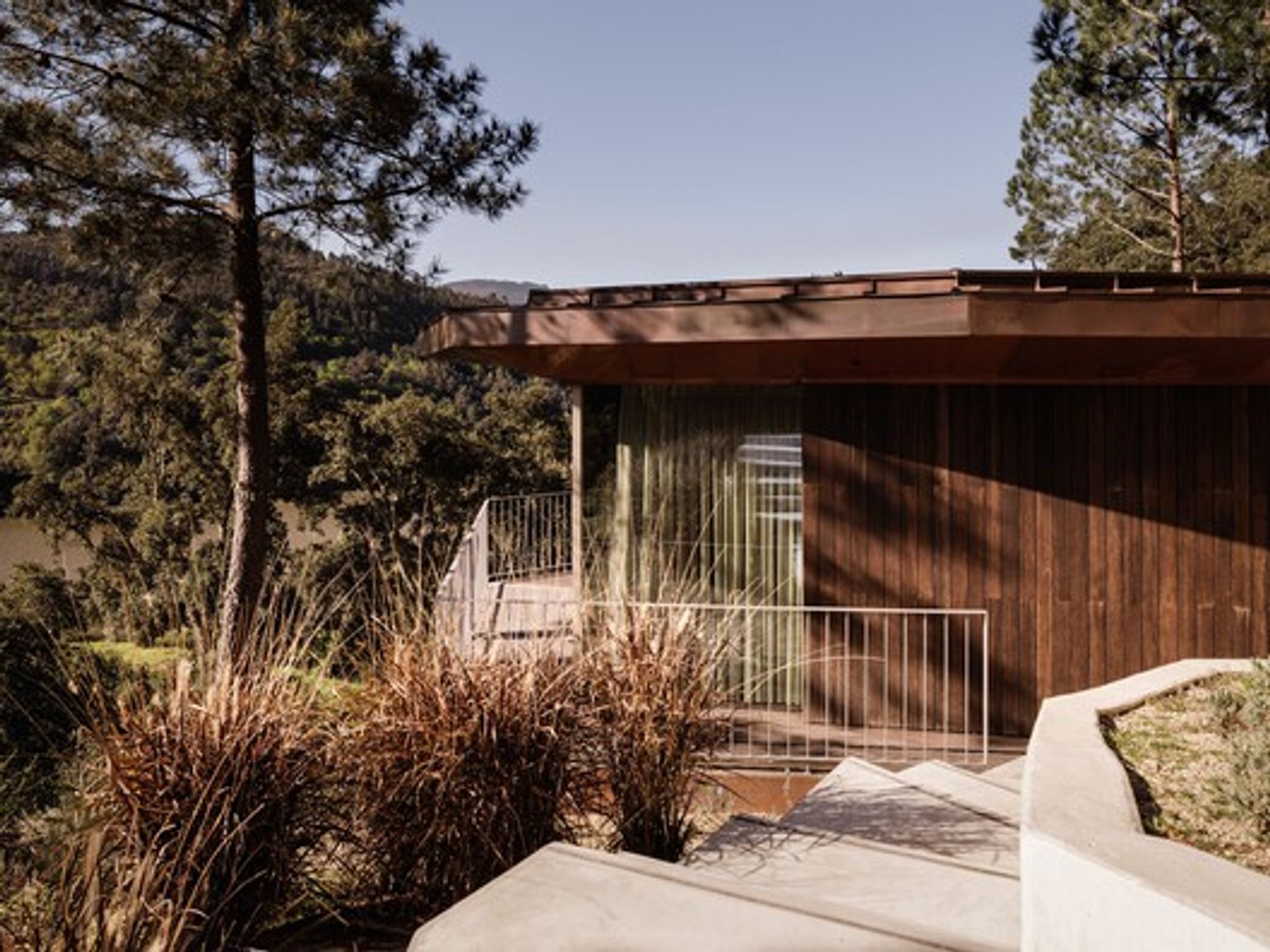 House Douro Wood: Sustainable Modular Architecture in Portugal’s Douro Valley