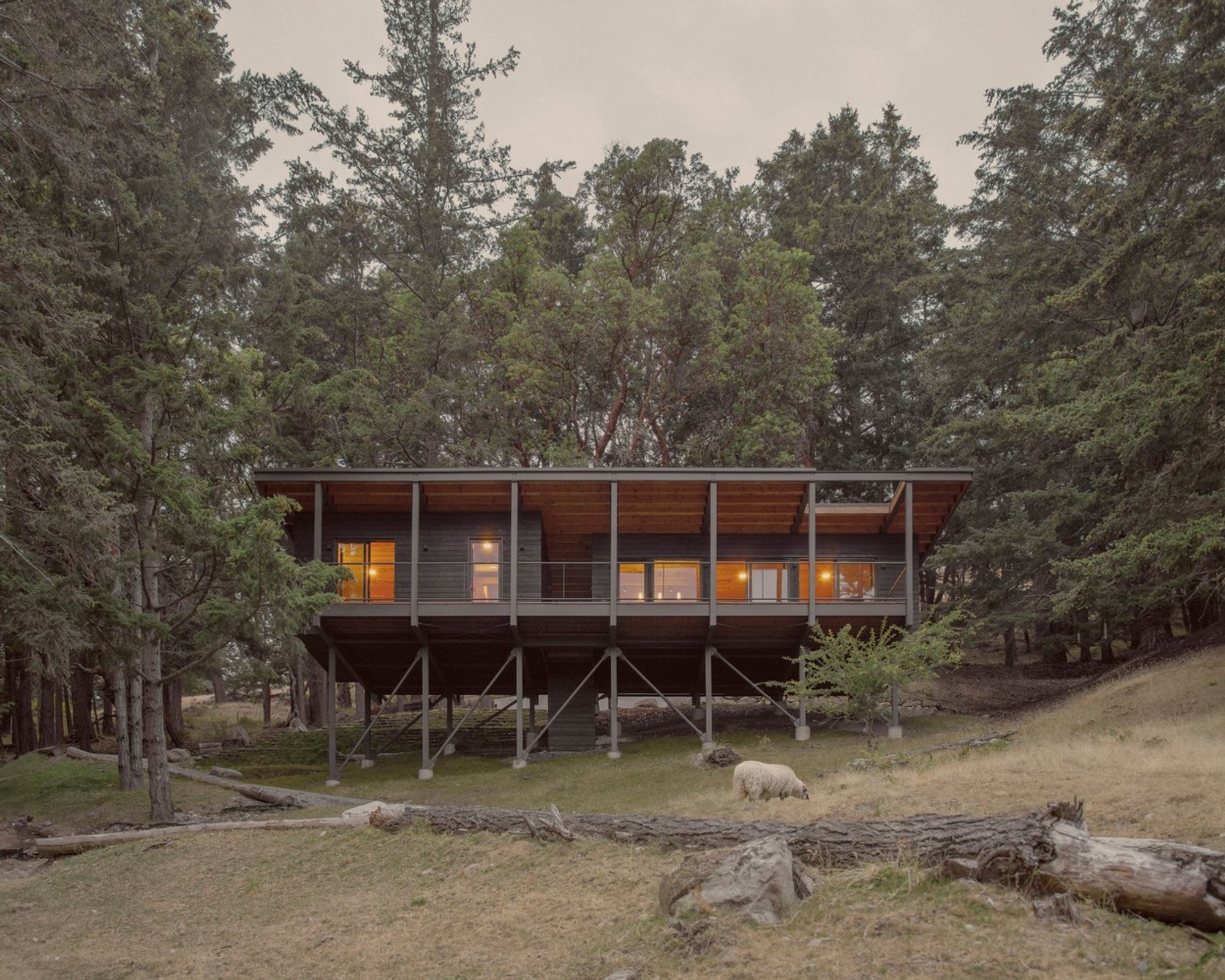 Trestle Cabin by Miller Hull Partnership: A Low-Impact, Adaptive Retreat Suspended in the Forest