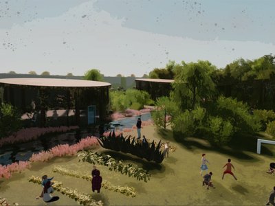 Community areas and natural areas