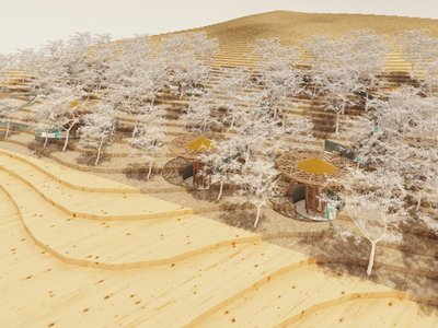 The Arboreal Perspective