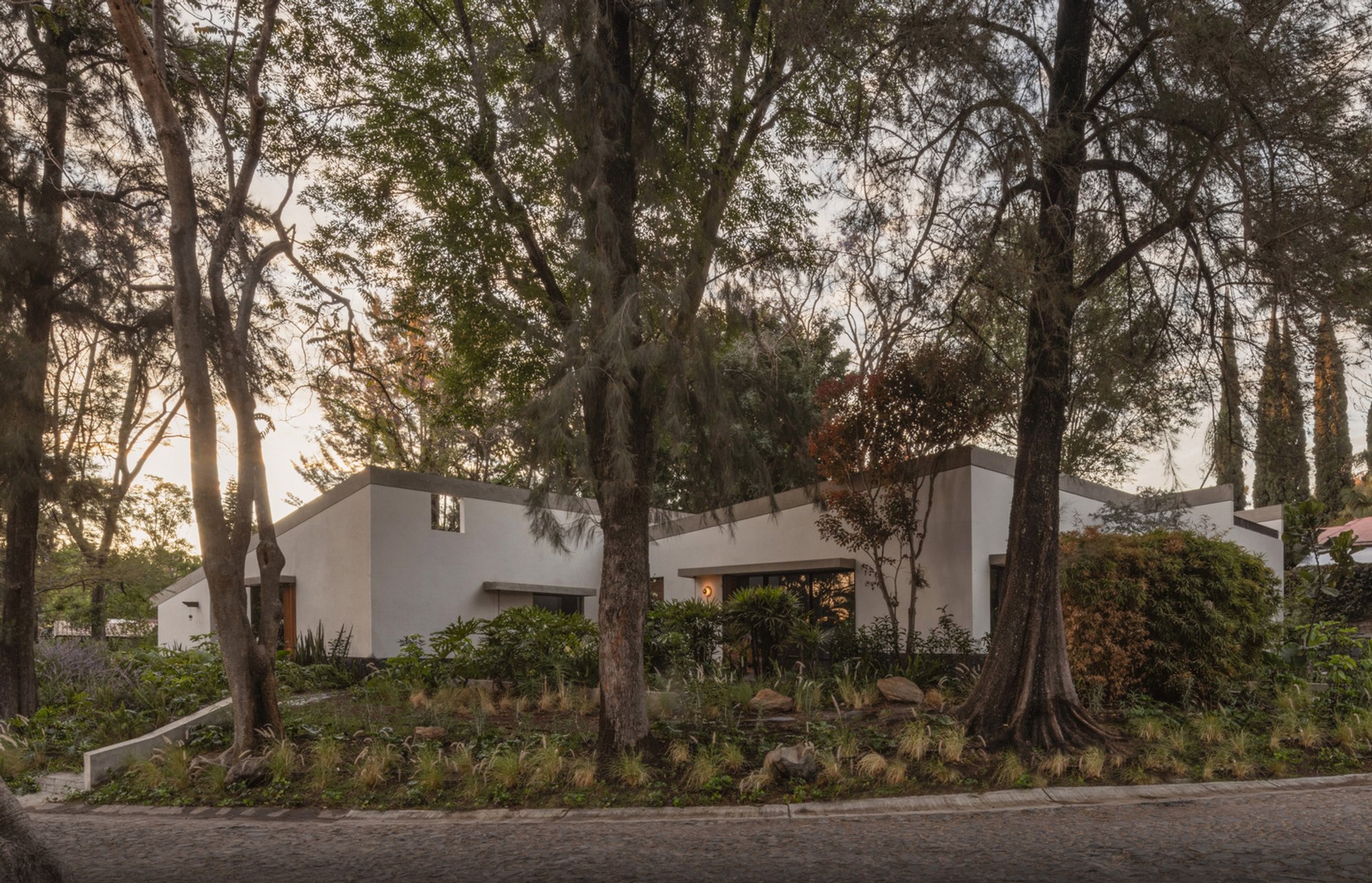 Malvas 59 Residence Estudio Radillo Alba – Sustainable Renovation in Mexico