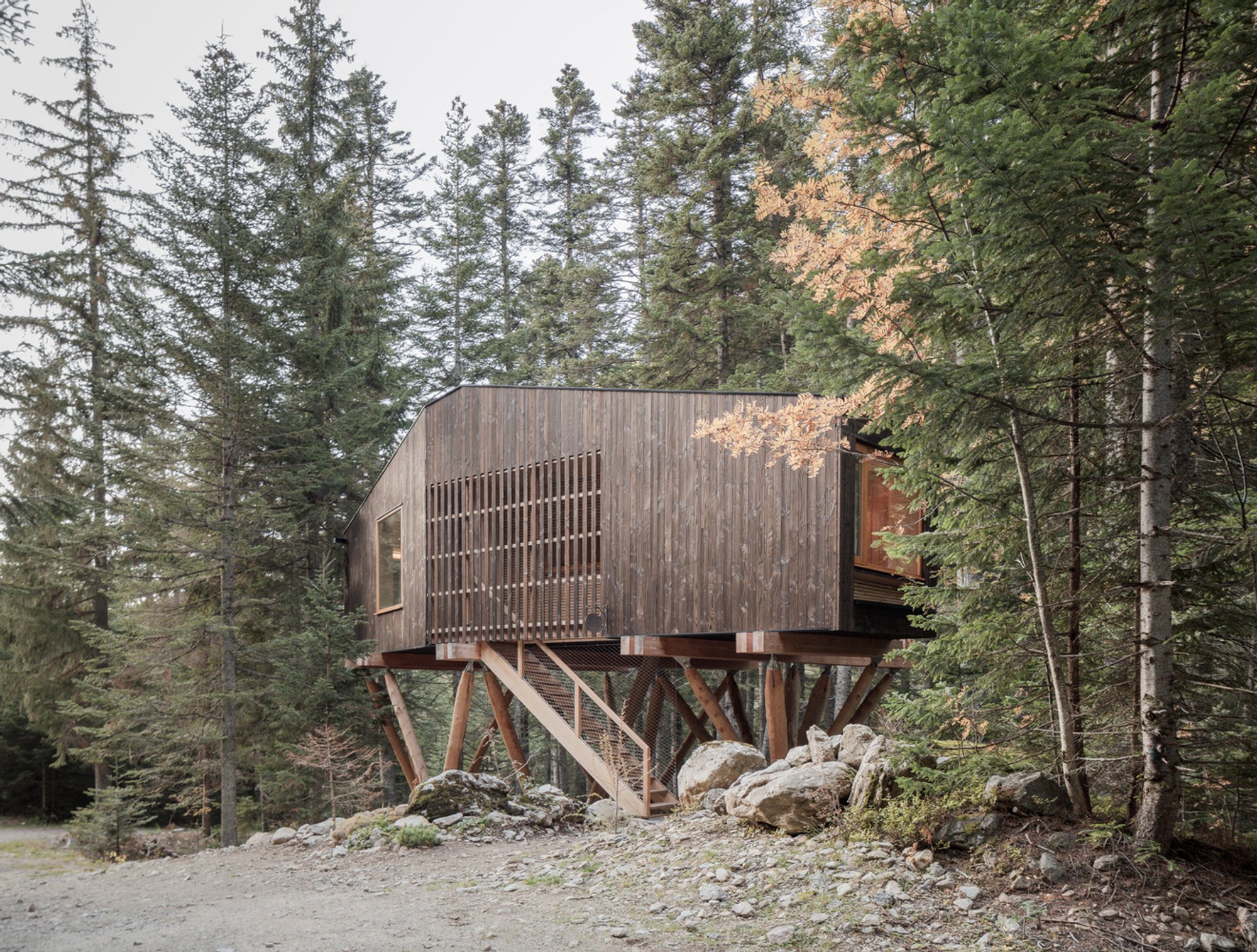 Two Cabins Perched on Stilts in Saint-Martin-Vésubie: Immersive Forest Retreat by Cyril Chênebeau