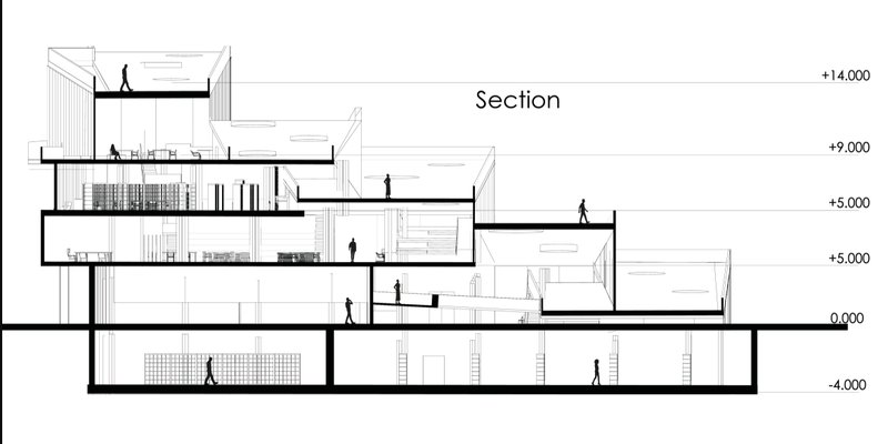 Section drawing revealing interior programs and spatial transitions
