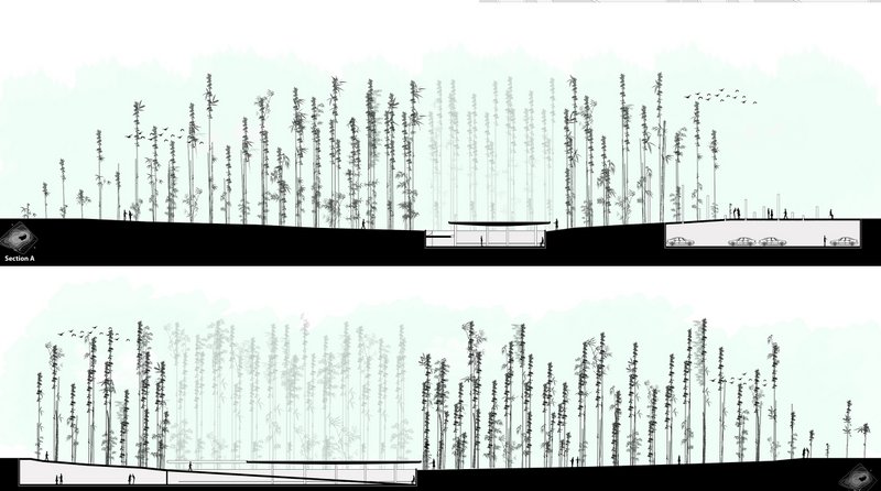 Longitudinal section showing layered bamboo forest above integrated parking and visitor spaces.