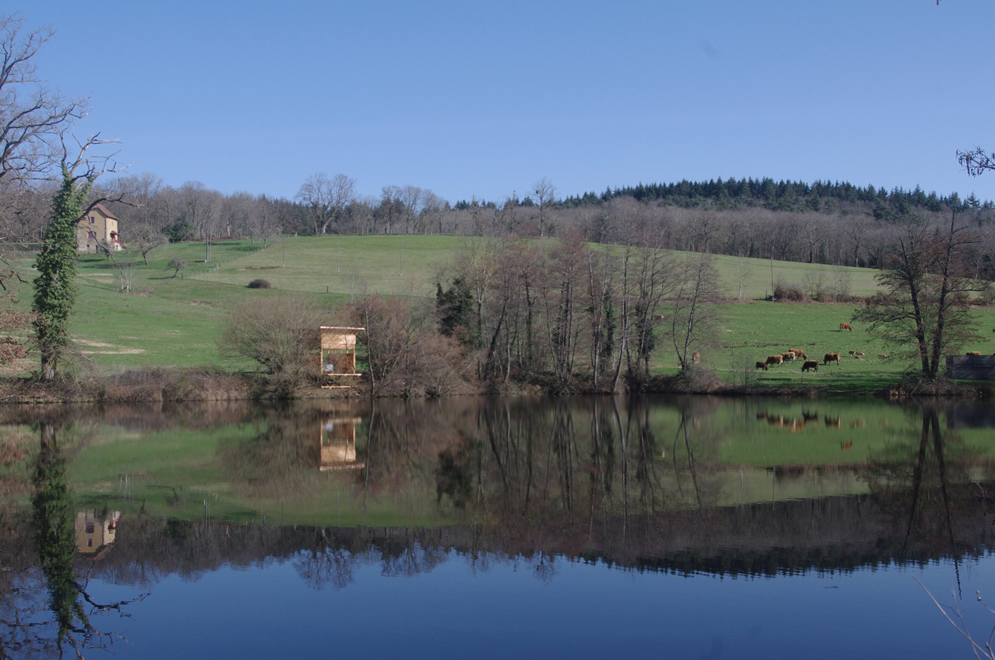 Impluvium Installation by Banco!: A Contemporary Rainwater Harvesting Pavilion Reflecting on Ecology and Water Cycles