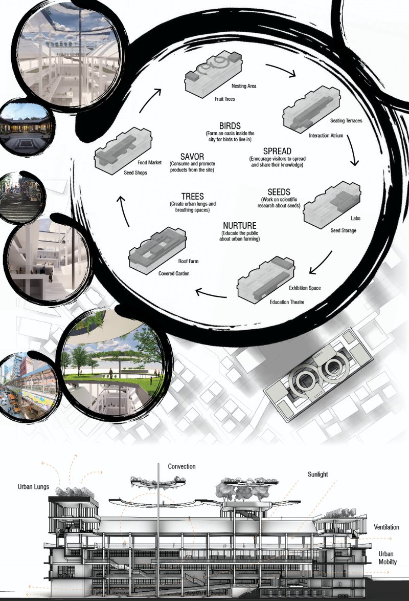 Circular spatial narrative showing how birds, seeds, and trees interact across built functions—educating and engaging the community.