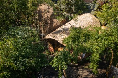 The Living Bridge: A Groundbreaking Model of Regenerative Architecture in Education