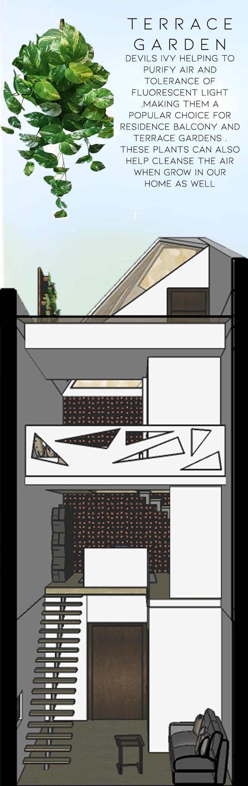 Terrace garden with Devil’s Ivy enhances air purification and extends sustainable living to rooftop spaces.