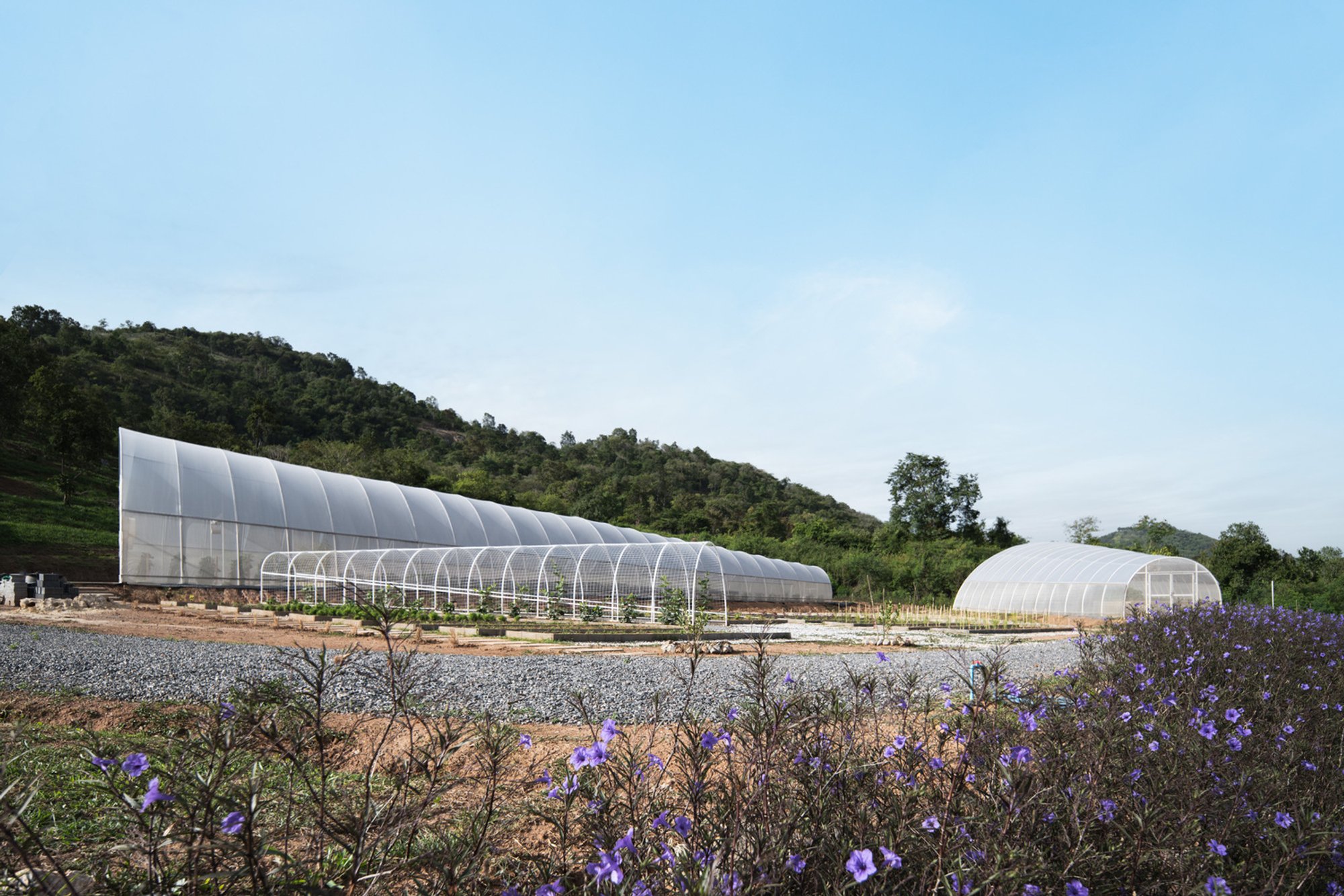 Eco-Friendly Campsite Design in the Highlands – Khanong Phra Campsite by PHTAA Living Design