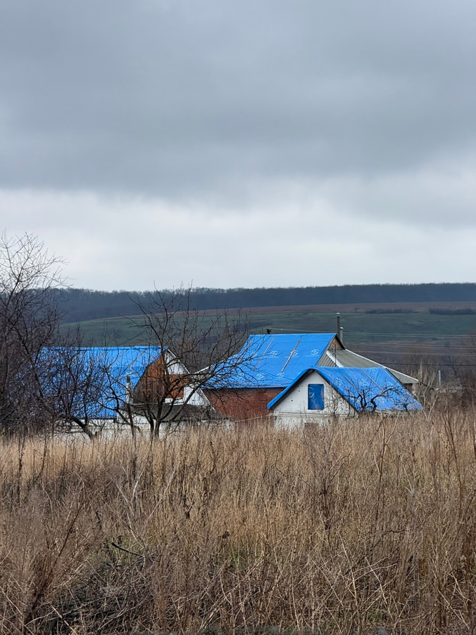 Lamarilla Reforestation House: Sustainable Architecture in the Colombian Highlands