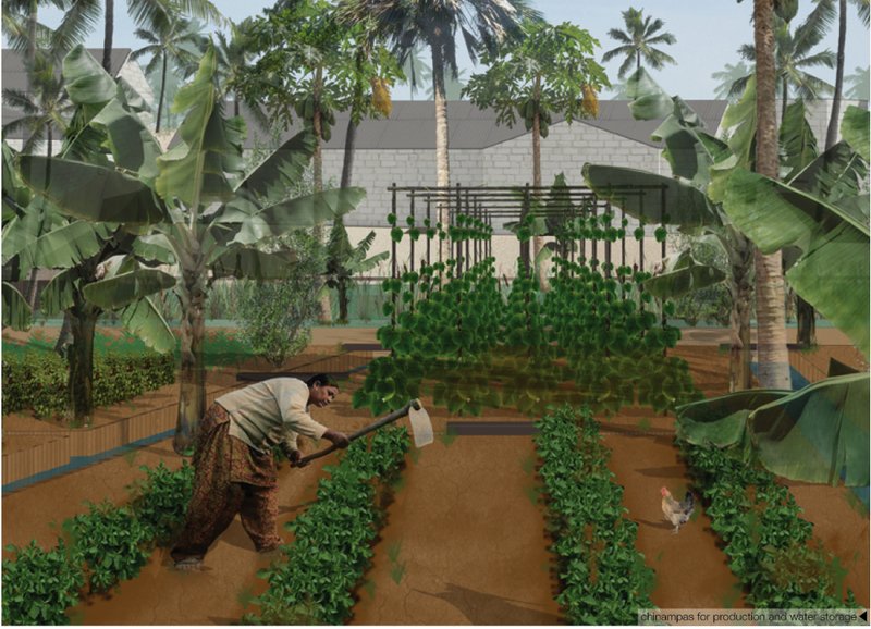 Floating garden systems enabling sustainable agriculture and water storage in flood-prone zones.