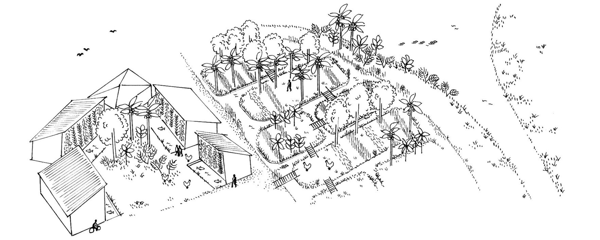 Courtyards and Chinampas for Urban Water Management in Aluva