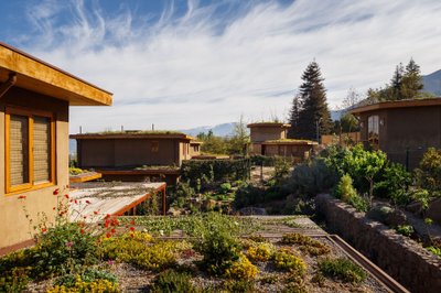 This architectural image showcases a residential complex designed with sustainable and organic princ