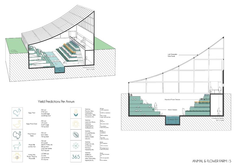 Hybrid farm modules combining animal terraces, aquaponic ponds, and flower cultivation for year-round yield.