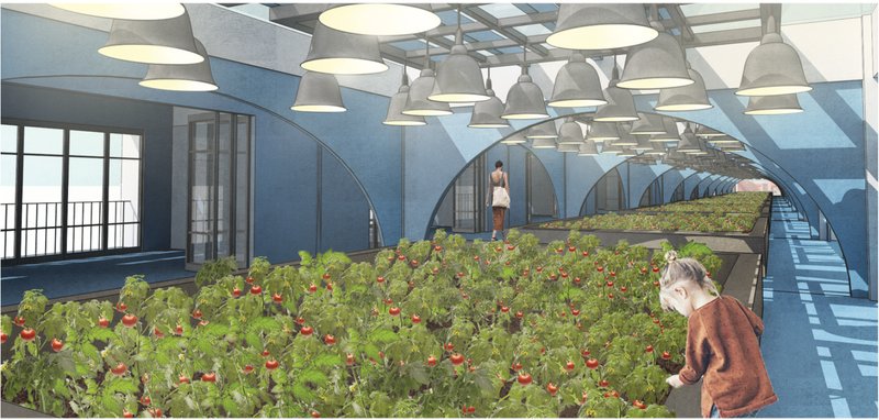 Flexible farming zones provide fresh produce and learning opportunities for residents.