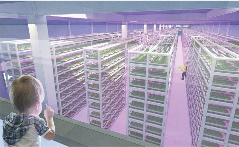 Stacked hydroponic systems maximize food production within limited urban space.