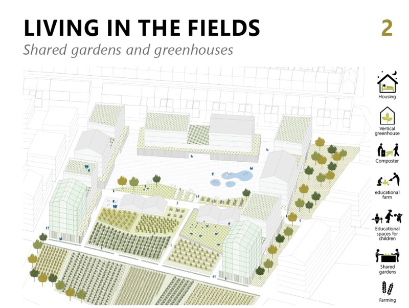 Shared gardens and greenhouses providing food, education, and ecological connections in the city.