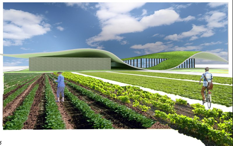 View of the grass-covered roof undulating over glazed walls with agricultural plots and a cyclist in the foreground