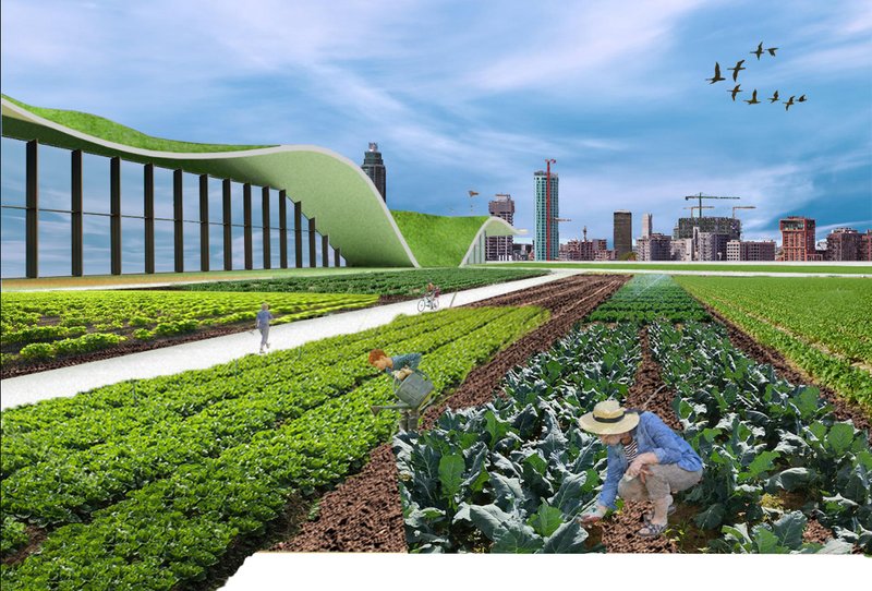 Vegetable rows and workers tending crops beneath the folded green roof with distant city skyline and flying birds